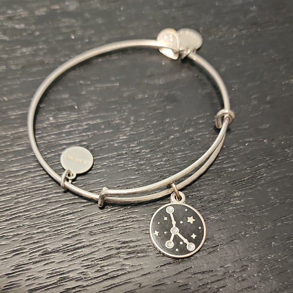 Alex and Ani Silver Celestial Charm Bracelet - Picture 1 of 2
